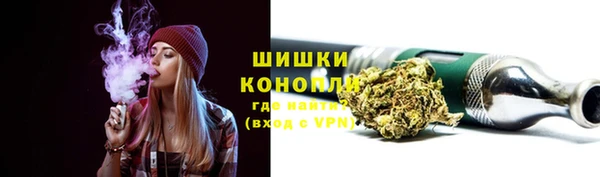 индика Нефтекумск