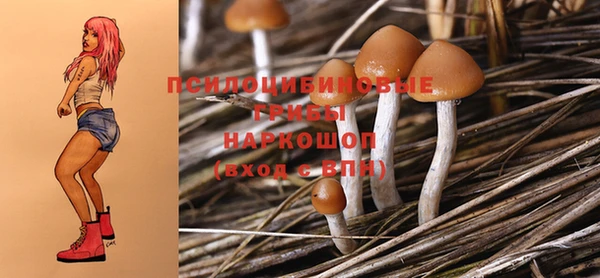 синтетический гашиш Болхов