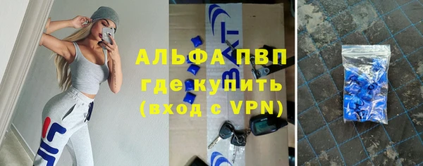 стафф Надым