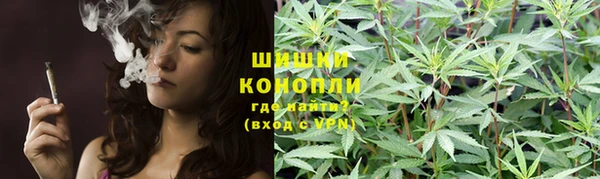 прущая мука Нея