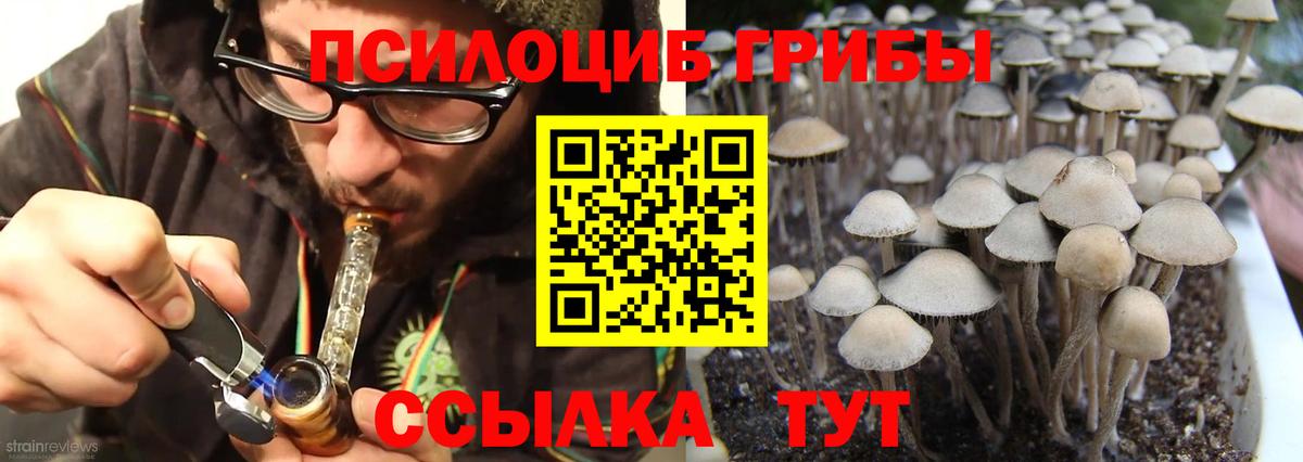 Галлюциногенные грибы Psilocybe Сарапул